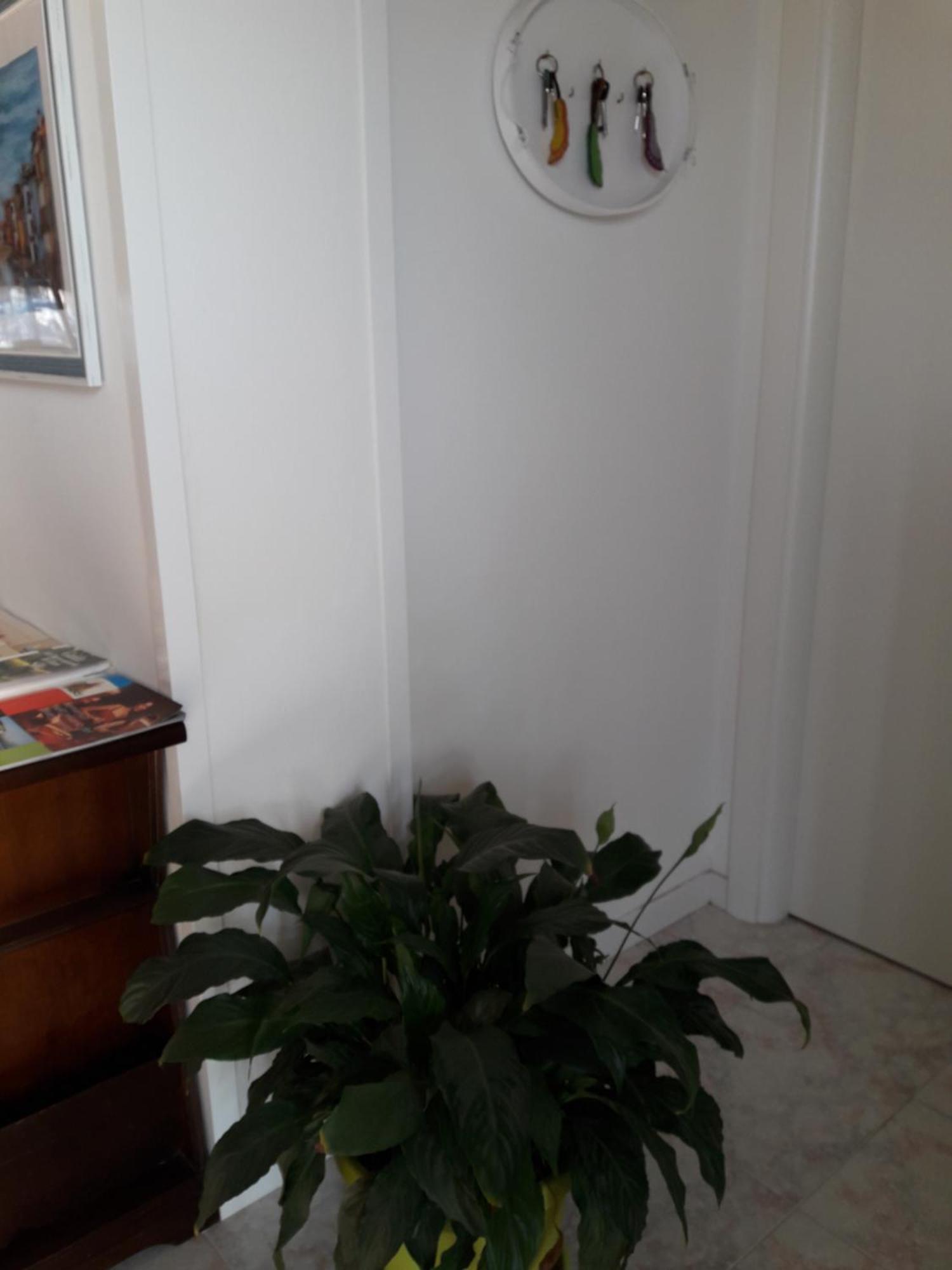 B&B A Un Passo Da Casale sul Sile Exterior foto